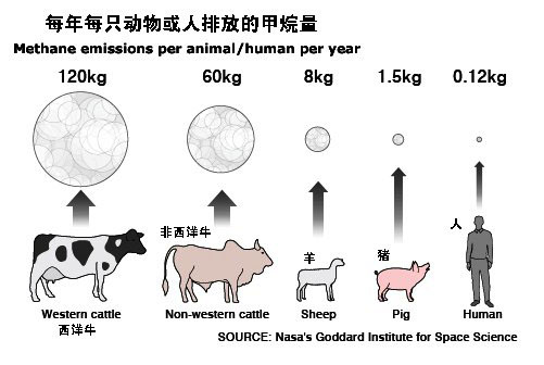 甲烷排放与生物